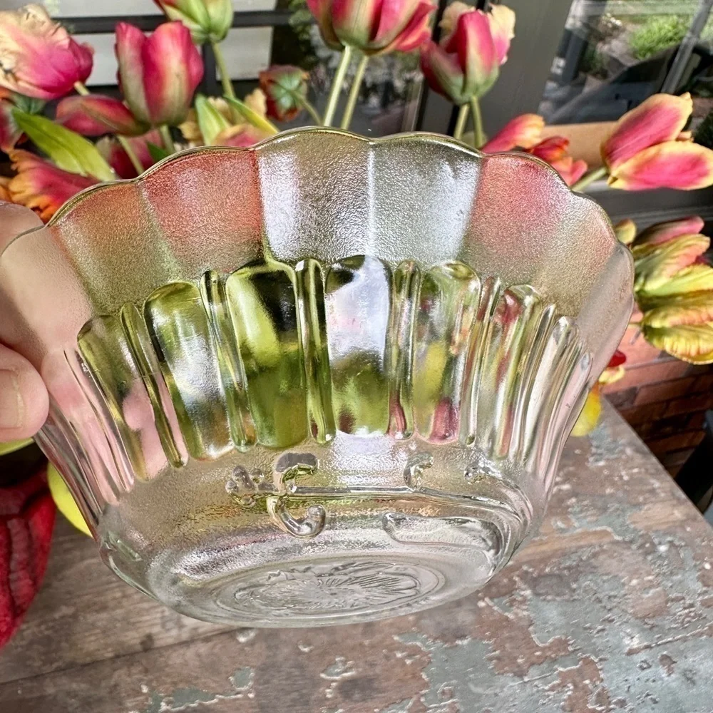 SET/6, NOVACRISA MEXICO, WILD ROSE FLORAL BLOSSOM, CLEAR BOWL WITH FROSTED RIM